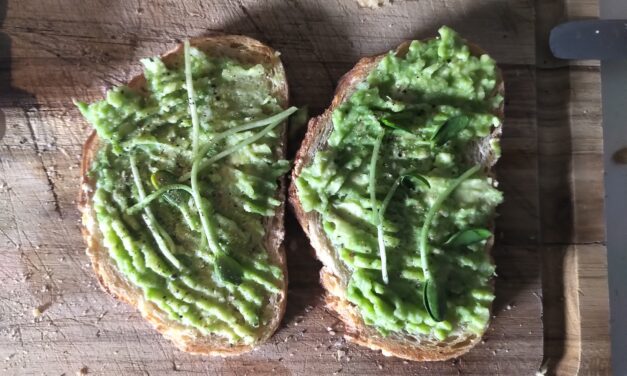Microgreens on Avocado toast
