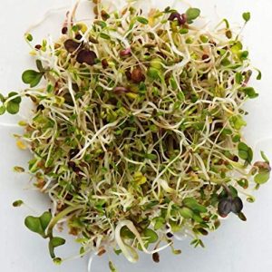 Spring Salad Mix