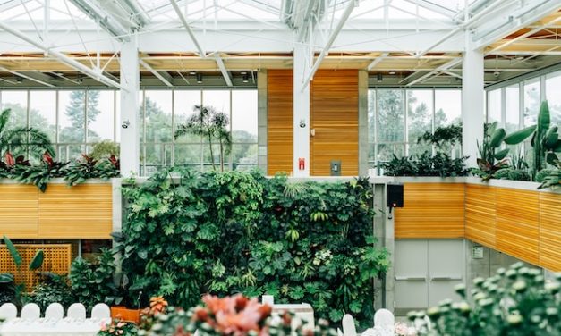 Living Walls: Bringing Nature Indoors for Health and Aesthetics